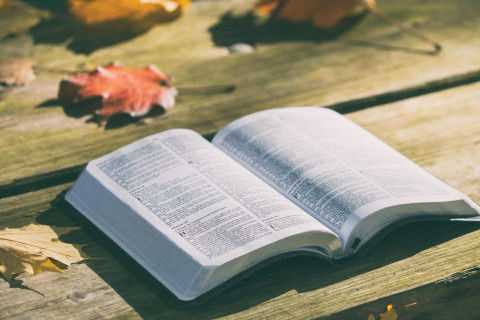 A Bíblia nunca poderá significar o que nunca significou.