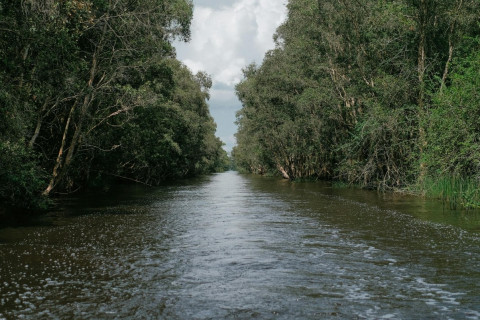 Abraão, chamado de Deus