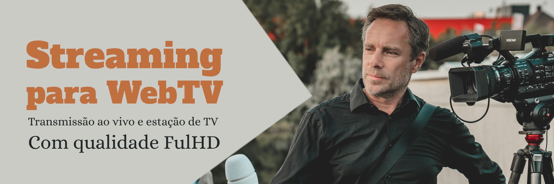 WebTV